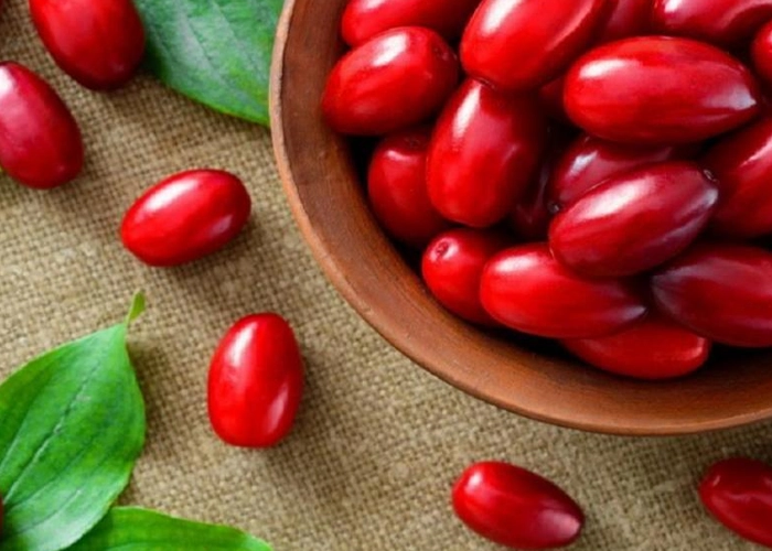 زغال اخته
