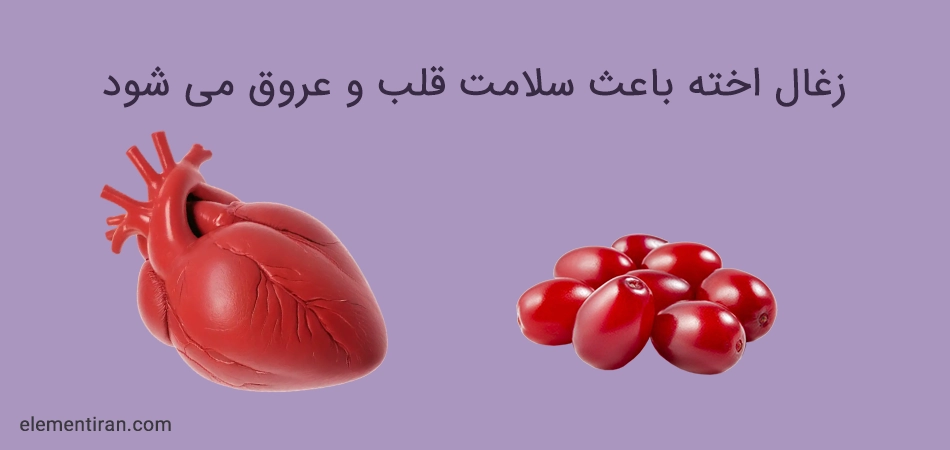 خواص زغال اخته برای قلب و عروق