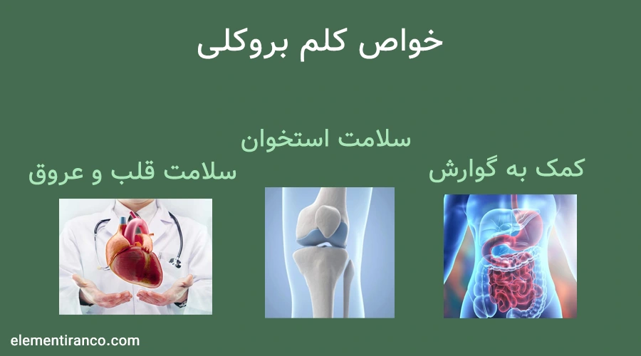 خواص کلم بروکلی