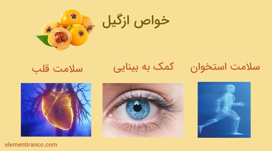 خواص ازگیل
