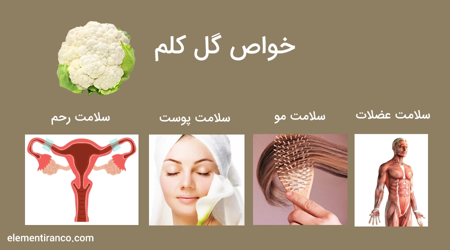 خواص گل کلم