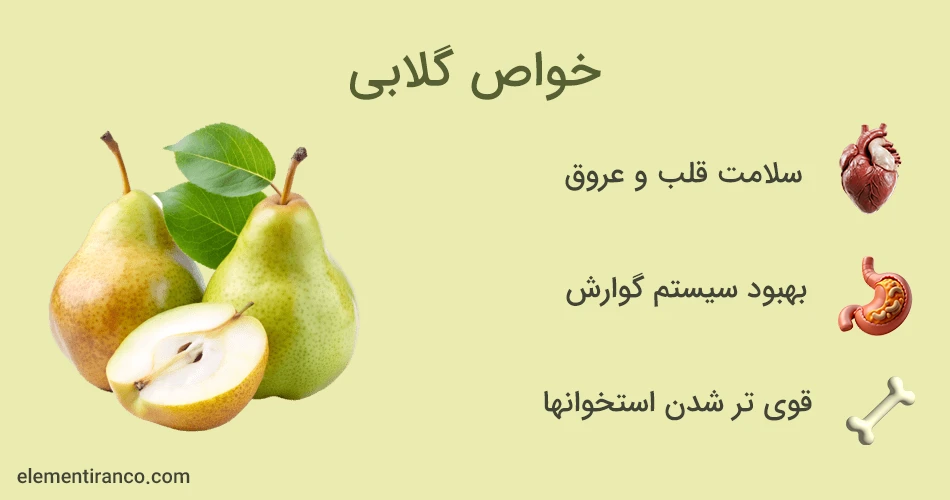 خواص گلابی | فواید گلابی