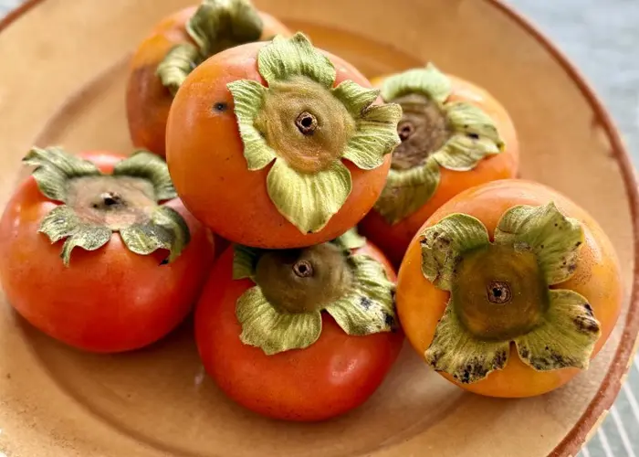 عکس خرمالو
